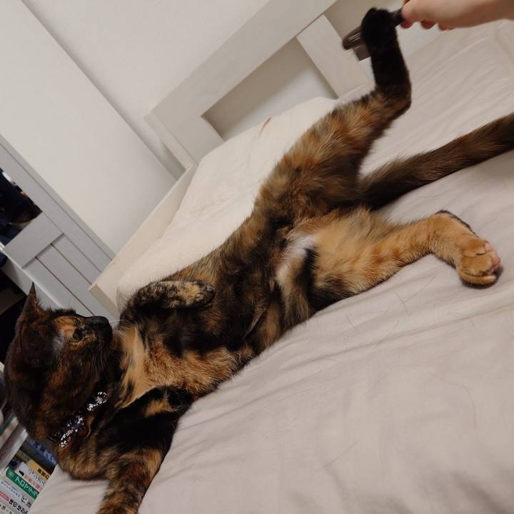 Ffa35048 f14d 4a99 97ef 39efc59a6172 1749480455888