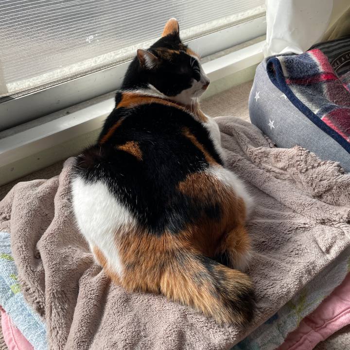 Ffa35972 8655 4760 84a9 33529d2960ca 1768659014591