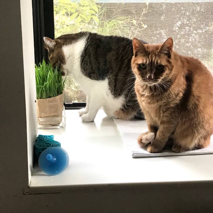 Ffa35fe9 bfc8 4488 a744 847a7d0bebb8 1603346271750