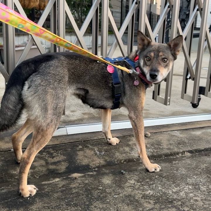 Ffa39c3d ff5b 4ad5 aa4f 07c773c181bb 1764168712917