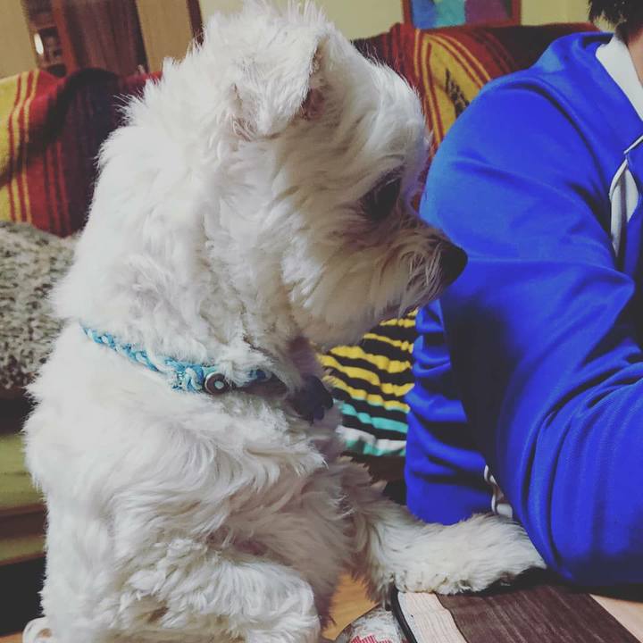 Ffa3ce6c 0dd4 49a4 8ee3 9410ca85ef67 1554295436832