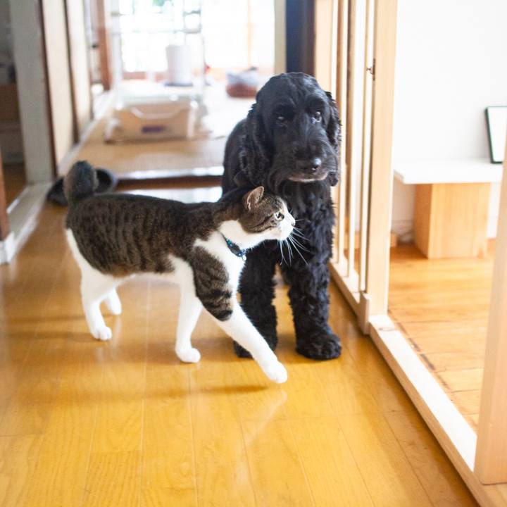 Ffa3e3af db37 4db6 a3bb 36c402041ba5 1567037192882