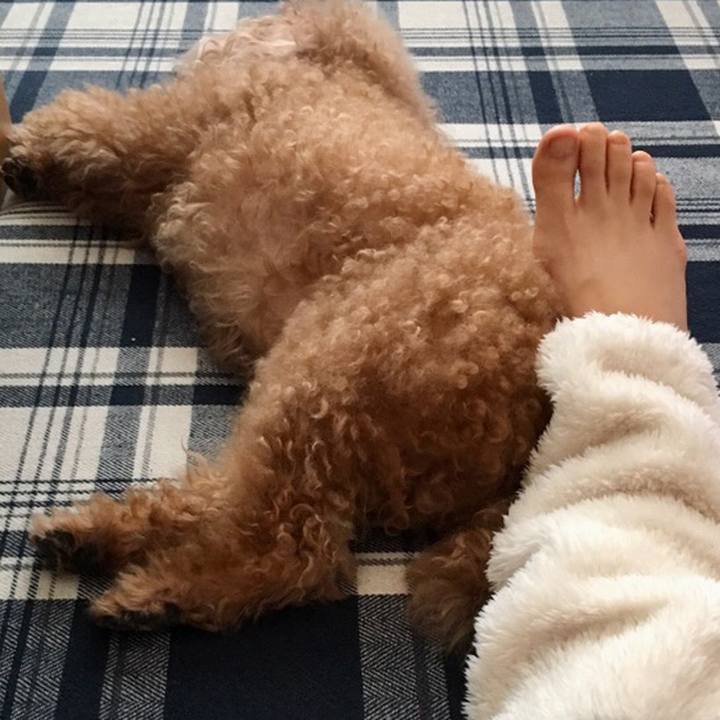 Ffa439ad 07e5 4dad 8a9f ac2e75b4e993 1557572541484