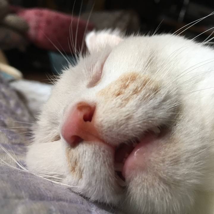 Ffa43fb0 a9b7 47fa 8740 f99a6f4e6346 1525073828333