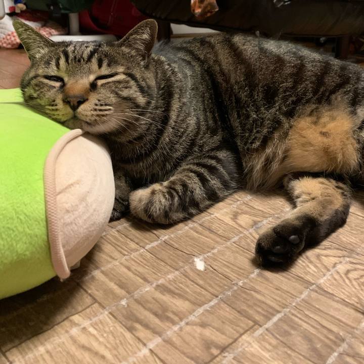 Ffa440c0 76a5 4b4b 81fe d6b83339a070 1615811495107