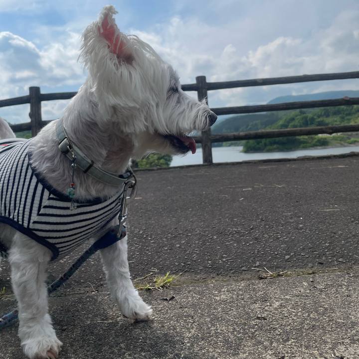 Ffa446d5 f466 4f8c 86b0 385715e4c600 1747987749438