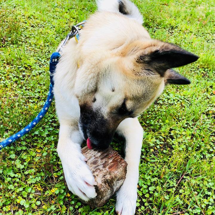 Ffa4514a 5583 4a1f 95ad 62f6410a8e59 1526557940188