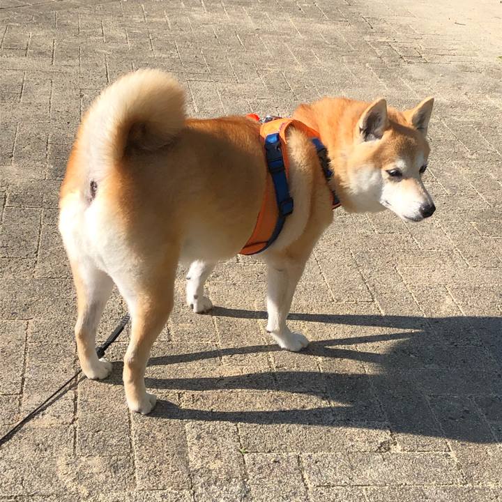 Ffa4548b 749b 489f be8c b7a9705cd64a 1600864095809