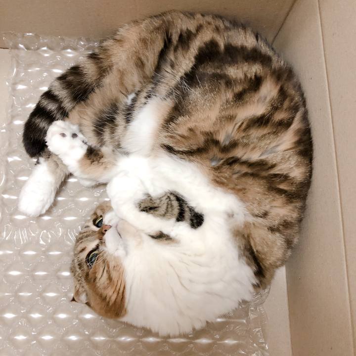 Ffa48ebb 1b27 47d7 82c4 8dd32ac63e5d 1553600354891