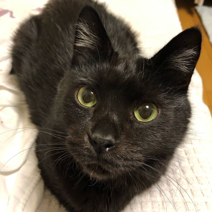 Ffa50576 3c2e 4f30 b307 6704a6414e27 1575295769517