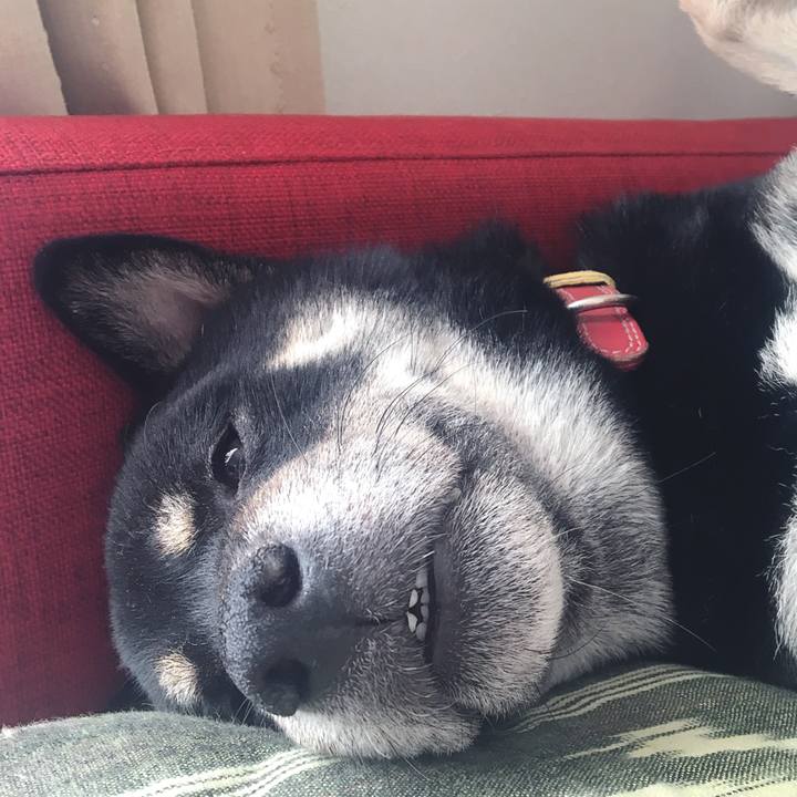 Ffa50b80 815f 4493 8db1 fc1412310a43 1541386021201