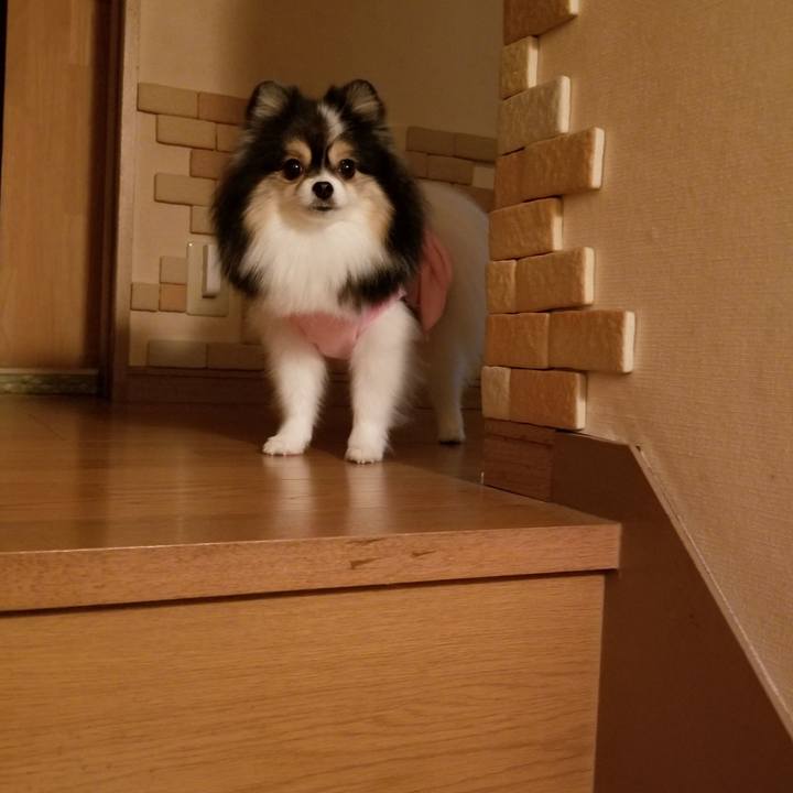 Ffa5512b c37b 4d45 b5aa 31361603a772 1571828590475