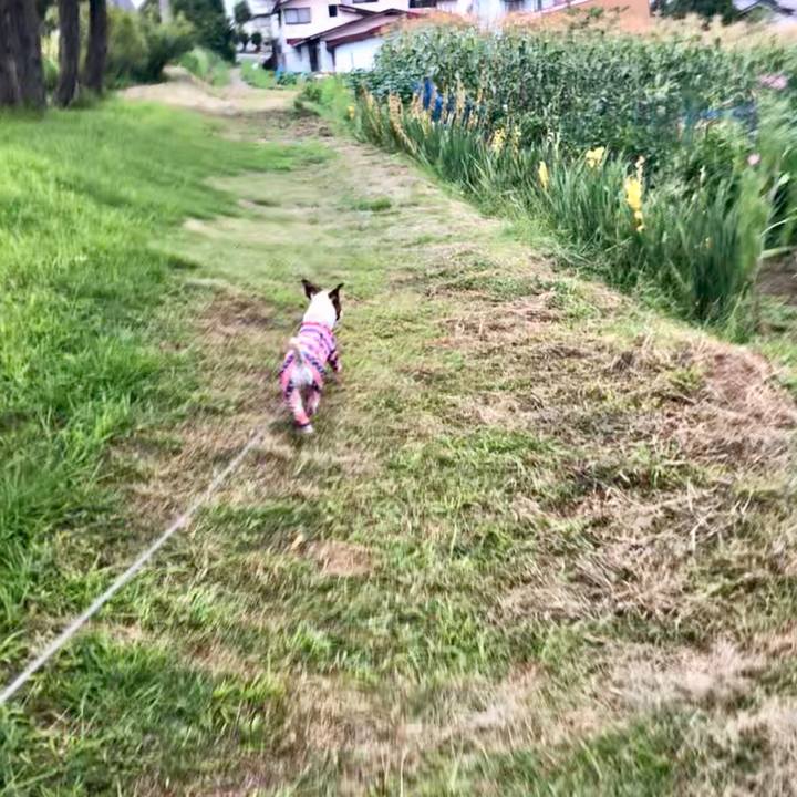 Ffa5914e e2c6 405f 8961 7fc9a784f6f6 1566194986545