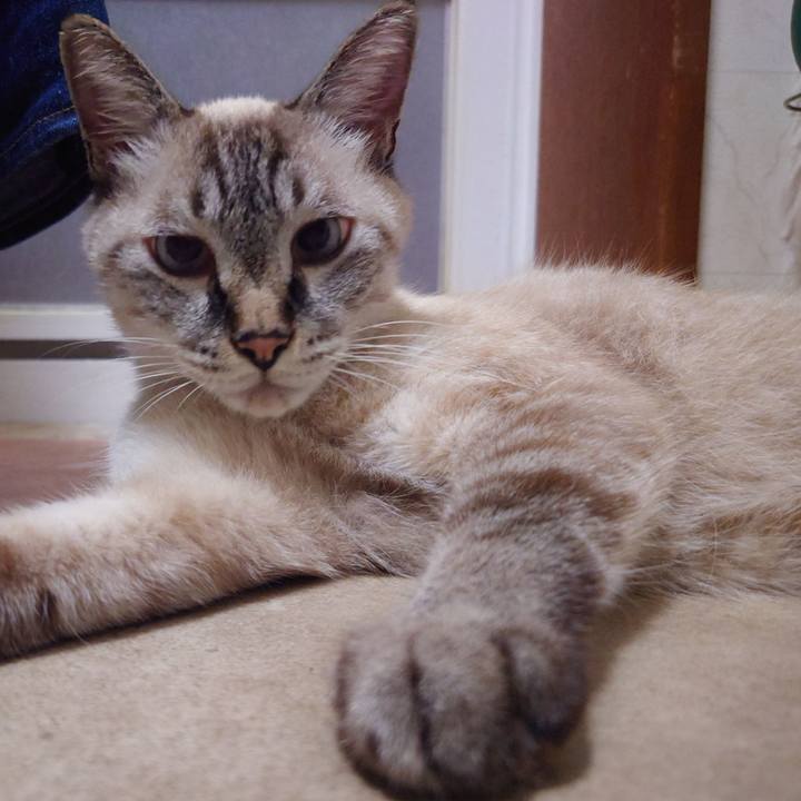 Ffa5a97a 389d 46bd a175 9f3343e295f9 1758028262367