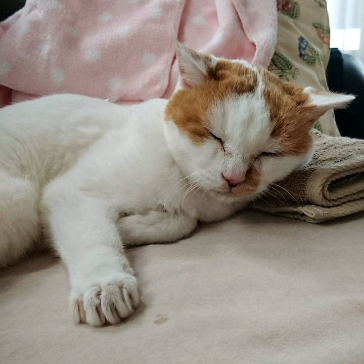 Ffa5b4d3 d73b 4f51 97a4 39516f3c4bfd 1534814140720