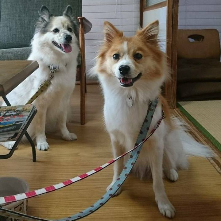 Ffa5e7ba b44c 473e ba15 7bc64c0f3ed4 1572956585484