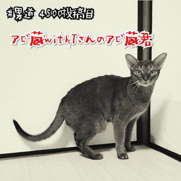 Ffa5ea93 7fda 4999 afea 192b52f94380 1577178974133