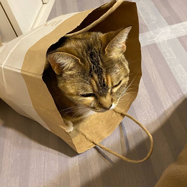 Ffa5f366 6feb 421b 9246 d1d81c592637 1612532821356