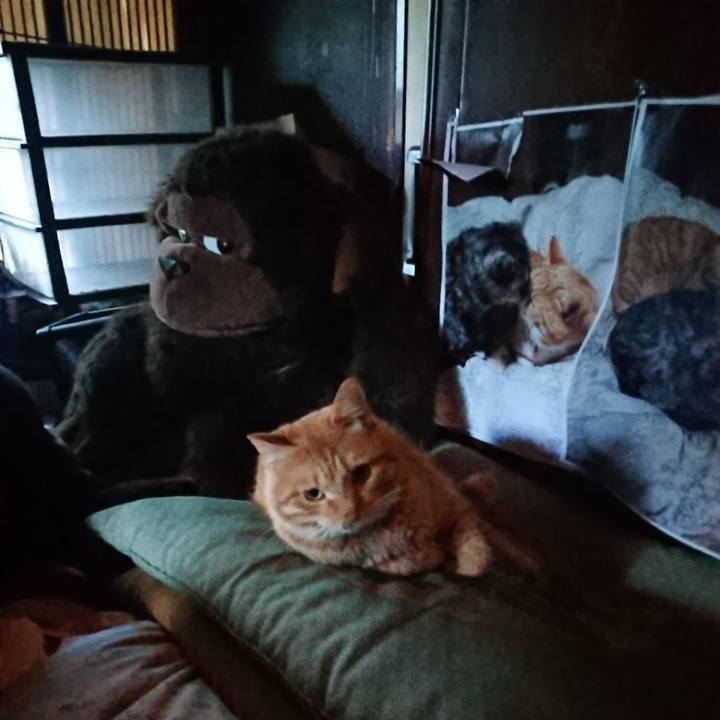 Ffa62510 11d4 4def 97ea a05fe5911213 1657224588811