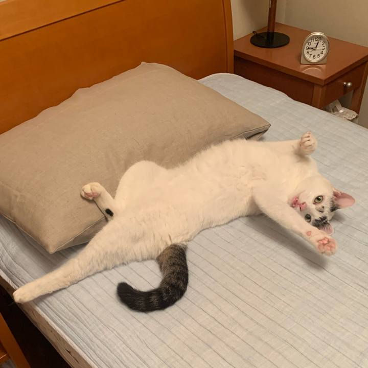 Ffa626e0 774b 4d1f a6e8 70200e2f5e39 1723115920698