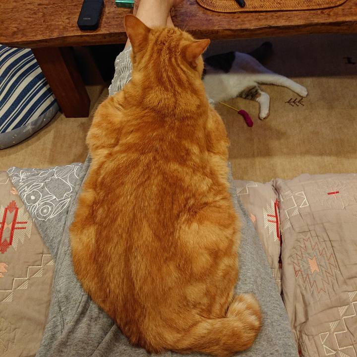 Ffa62abe a451 4dcf a9c2 1649c4a29d3a 1561823678918