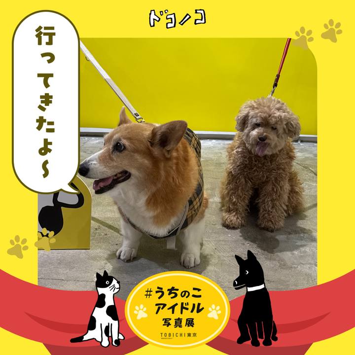 Ffa6378a 6167 4088 a362 cc8ec5d208ec 1762151059261