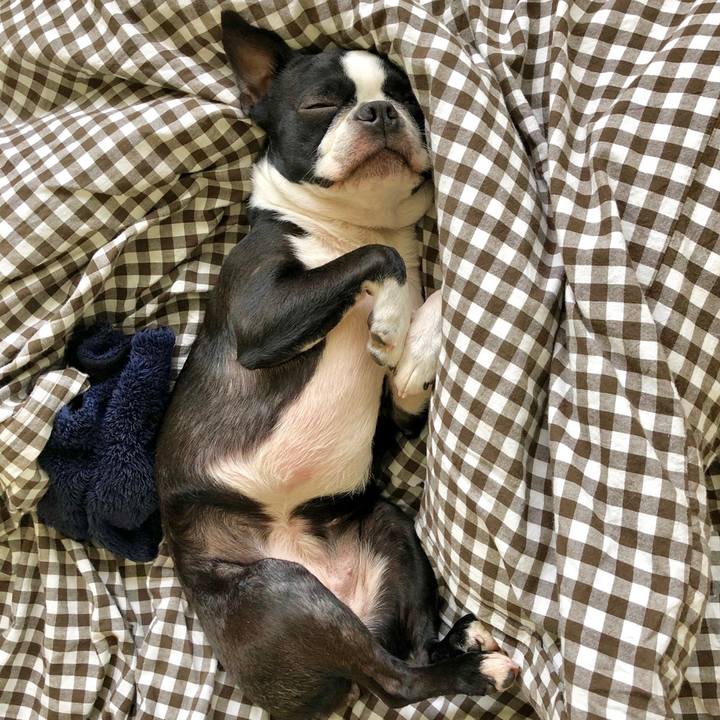 Ffa64042 1e8d 4f4a 91d9 0029fd4d42a2 1559196180134