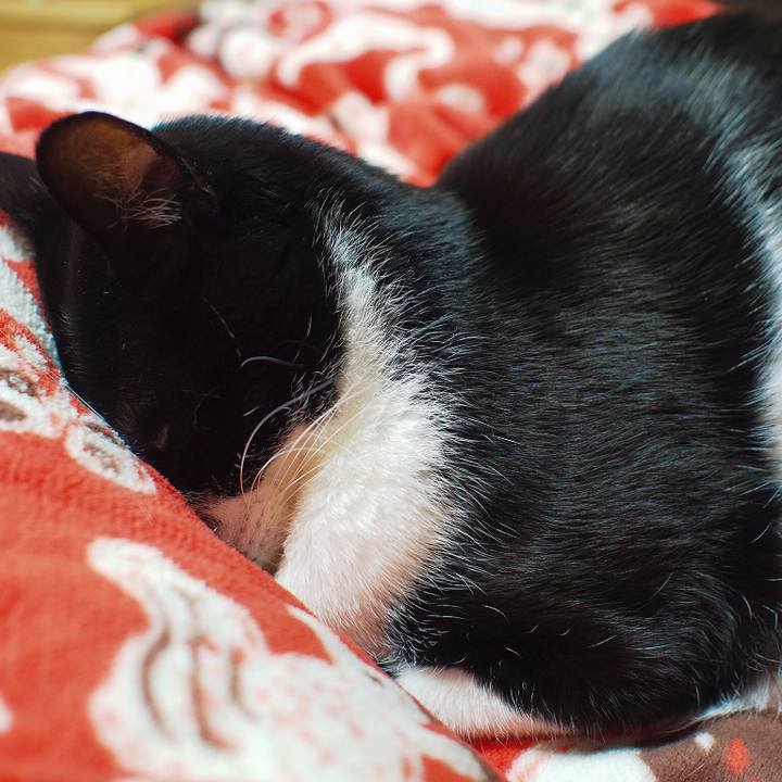 Ffa672e6 bbcd 41cb 8753 fce1c4a37487 1514873077394