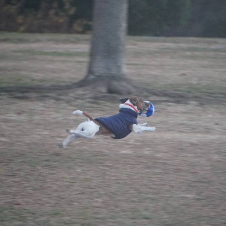 Ffa67b5e eb5d 4a84 840d be986ced0343 1609462821631