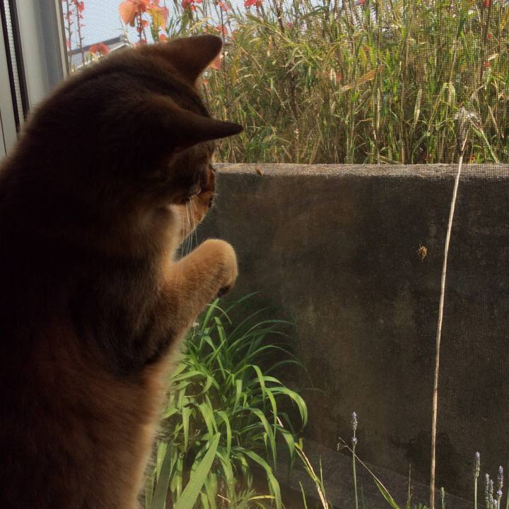 Ffa67edd 8966 42a1 a11e c2e758d6c116 1587082748995