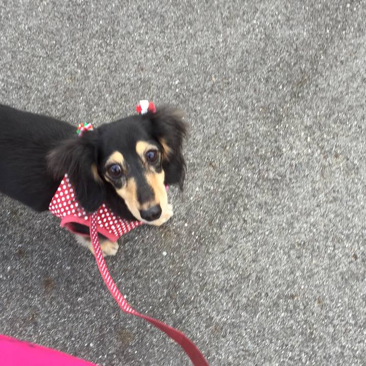 Ffa6935a c2c3 46b8 bb52 6db9a8c4ed71 1510357958568