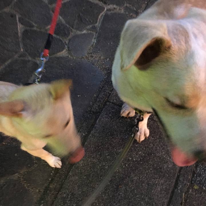 Ffa70426 53f7 4a41 b9fc 8e27be99257f 1530442573516