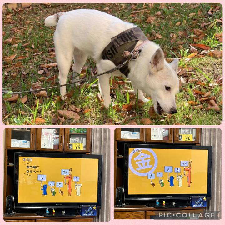 Ffa748dc 7ad1 4376 85d0 ce16e9f06beb 1761256813523