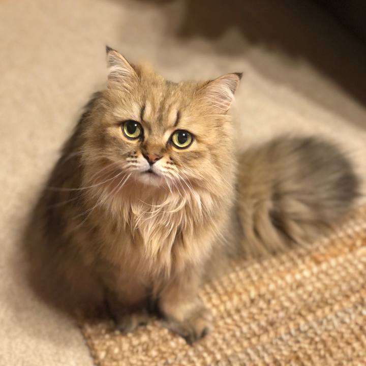 Ffa7707f 2919 464a 9497 2fb6e6ba9016 1627777786578