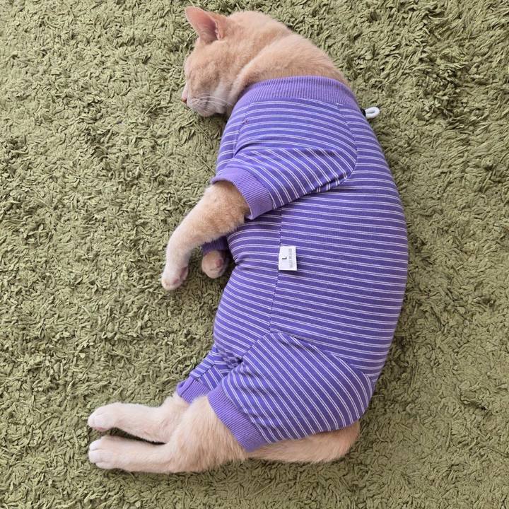 Ffa78d46 50f8 4652 938a aeba934843fb 1761824627070