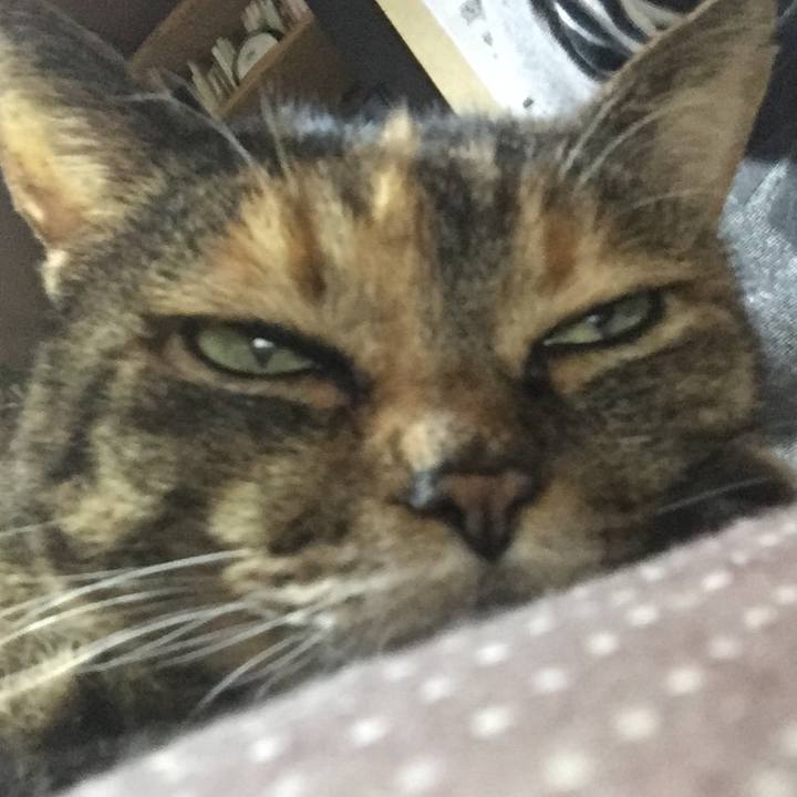 Ffa7b400 c380 480a aba3 8fb3834cdfaf 1523361592168