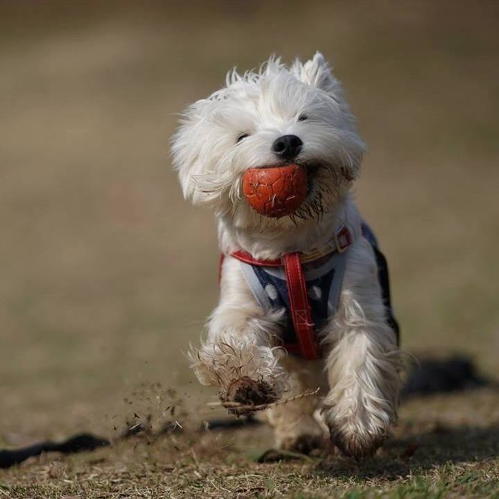 Ffa7b735 45b4 43b9 b4dd b6007609774d 1521169143284