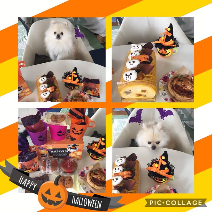 Ffa7eb74 acd2 4cba 9132 a6aadf3bcd21 1539310966376