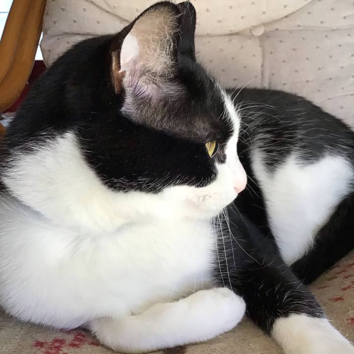 Ffa7f237 0768 4547 901e 98778dc25ea3 1715934071829