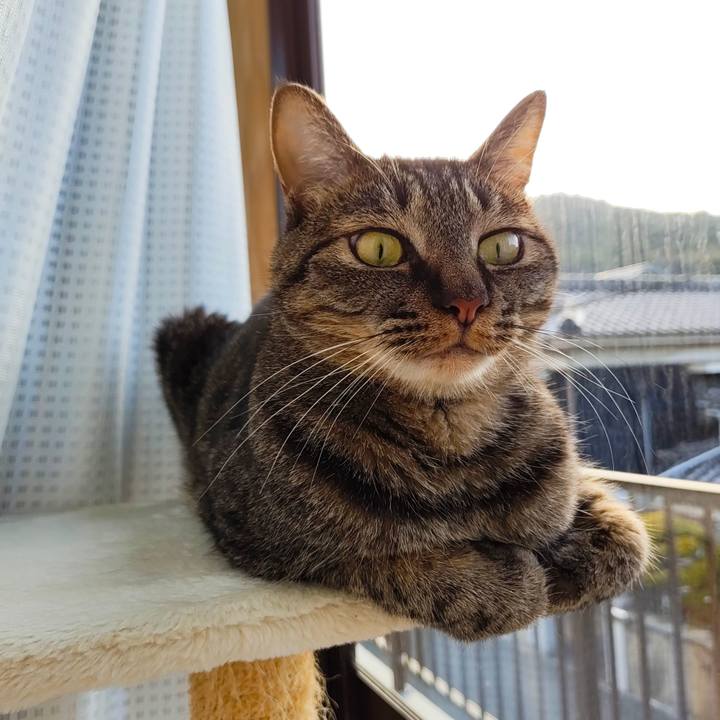 Ffa82b41 52b8 49d0 a5a5 85128ef8c25c 1771544904303