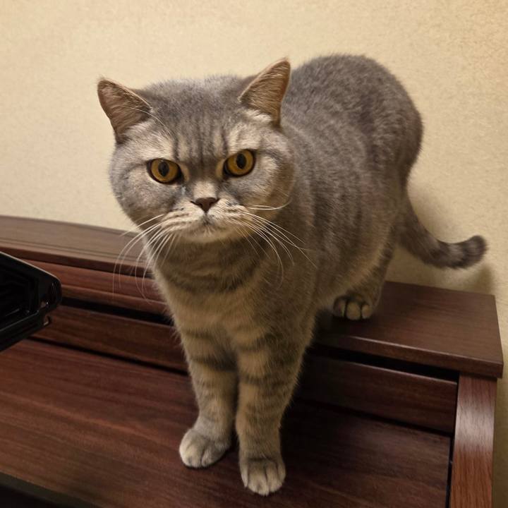 Ffa840f2 e441 418e b8be 17fa63eecda4 1774565666023