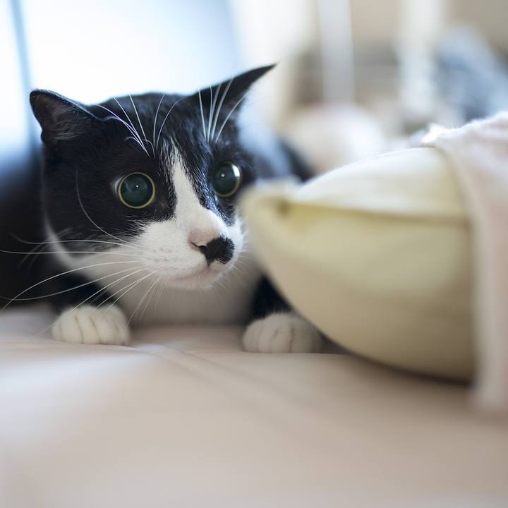 Ffa85833 b90f 440a a4d8 7ae0078d99d7 1535286600977