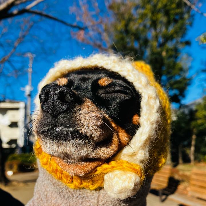 Ffa88188 383f 4117 a8b5 42b51b4d4f4d 1740318302518