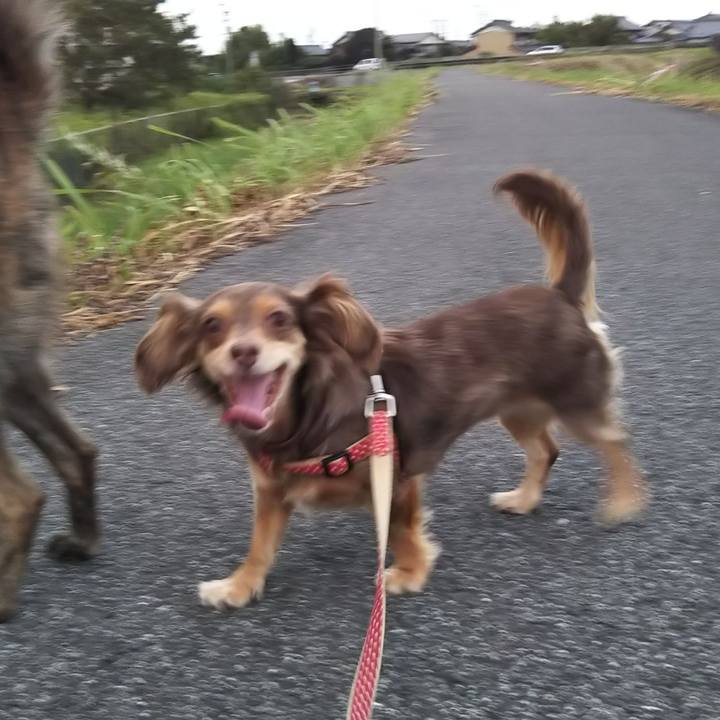 Ffa88c09 5a92 464f abf3 eba2877dde7e 1532946516827