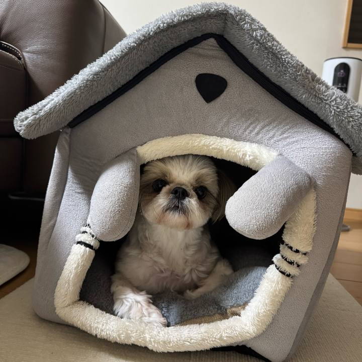 Ffa89e75 23c8 4d0b 99f4 b81176ef957b 1770415306252