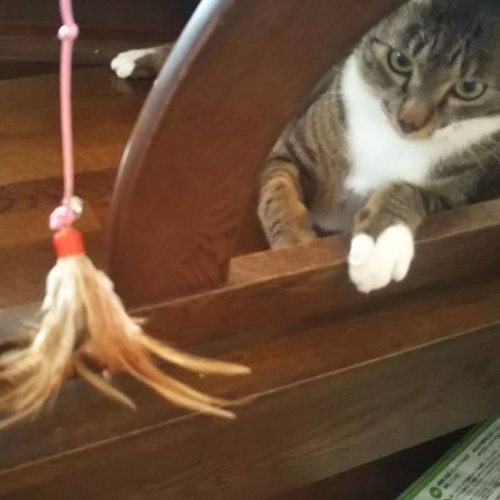 Ffa8a0c8 7f2b 468a b5b5 0c16470c94ad 1605832719392