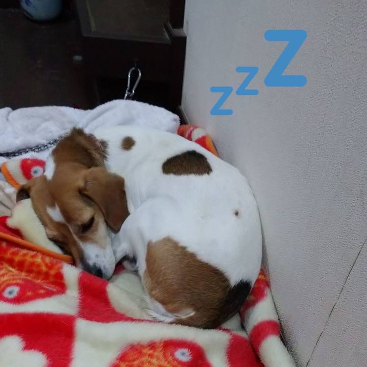 Ffa8c2f8 8f81 4df6 b083 1be517c21e5f 1584024238526