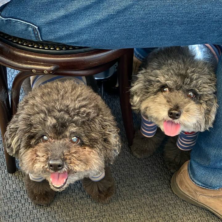 Ffa936ad ec39 42f9 a7f0 f8e656e3b501 1633922592261