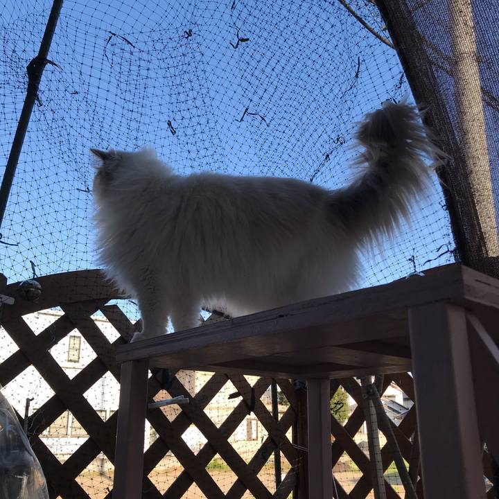 Ffa94af1 cae4 408b b48c 36f3eddca341 1585601678220