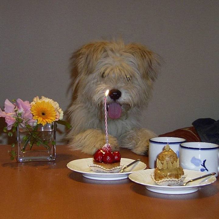 Ffa98912 bf00 4c12 ba58 78fac90514d6 1535775579074